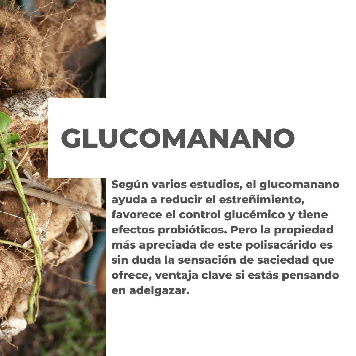 DETOX ORGANICO - Imagen 5