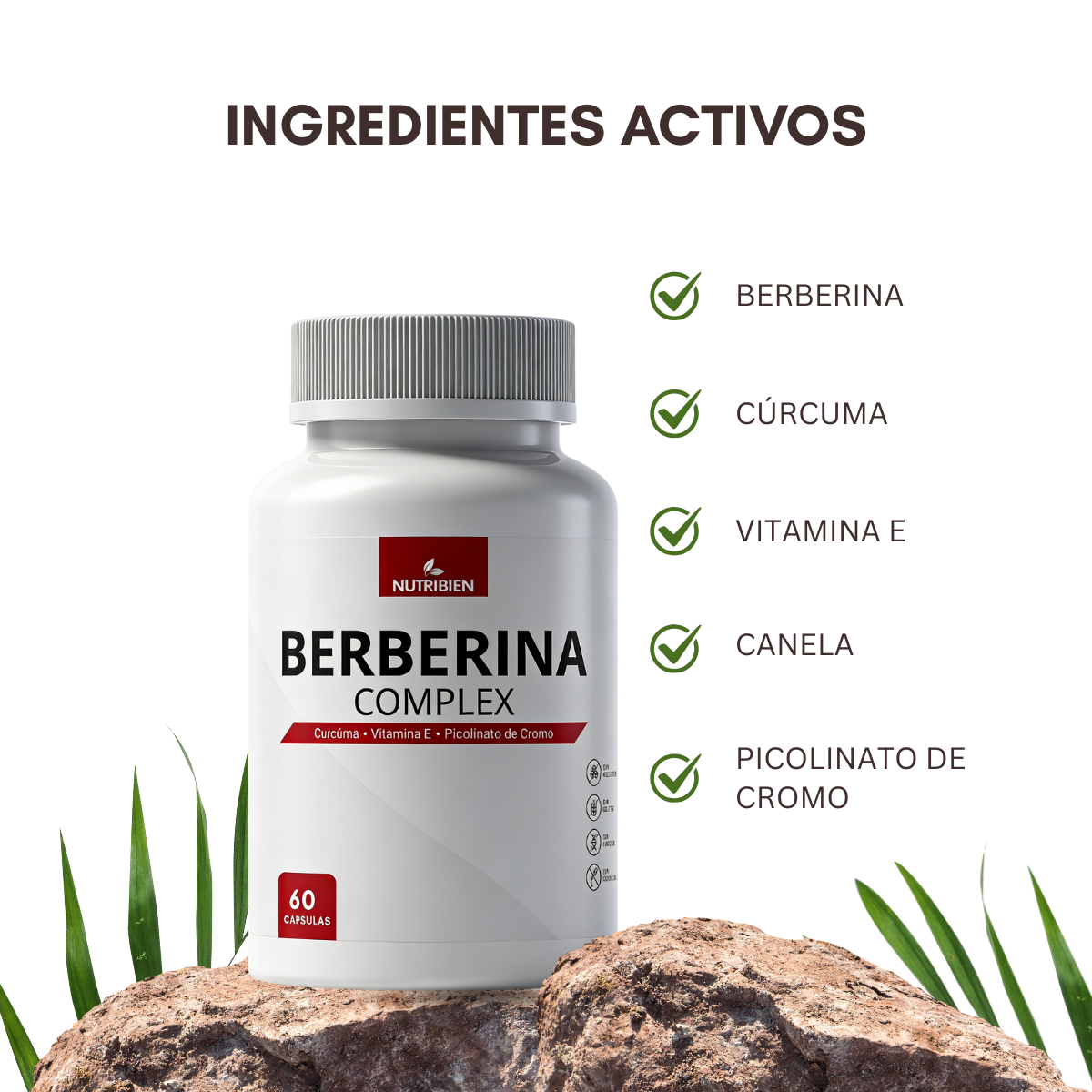 Berberina x2 - Imagen 2